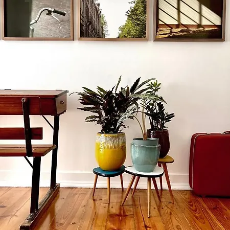 Apartment New Art *